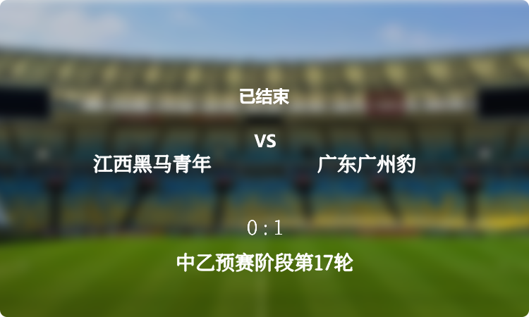 中乙预赛阶段第17轮: 江西黑马青年 vs 广东广州豹 战报